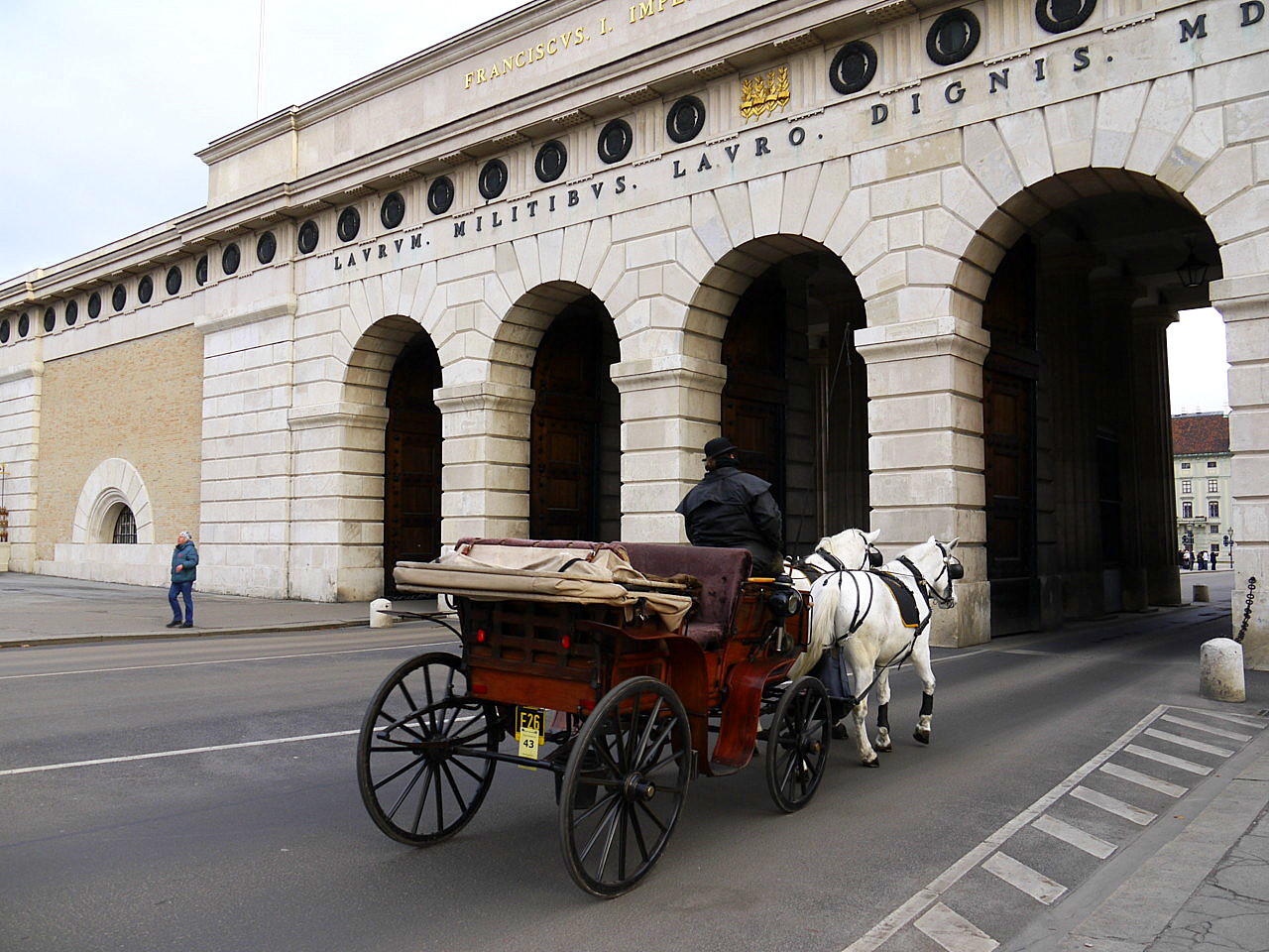 Symbols of the Vienna